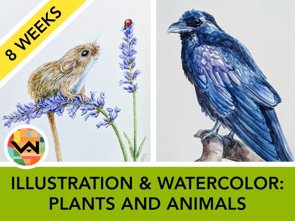 Image for event: Illustration and Watercolor: Plants and Animals (Age 12+)