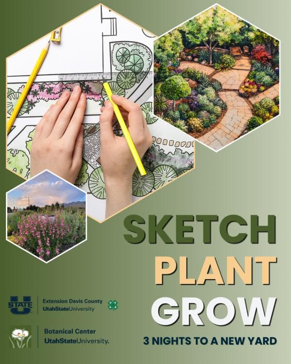 Sketch, Plant, Grow - 3 Part Workshop Series