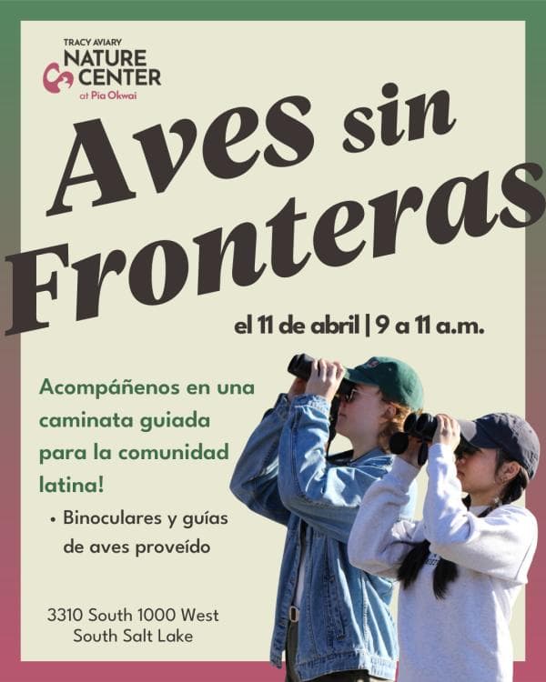 Aves sin Fronteras