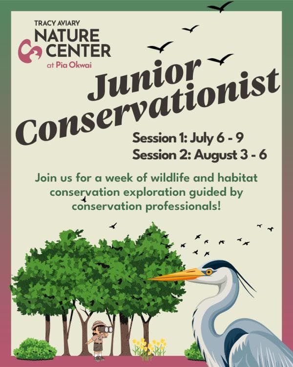 Image for event: Junior Conservationist