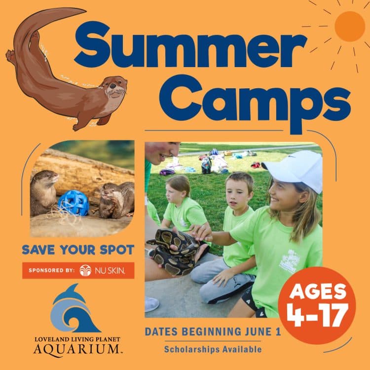 Image for event: Summer Camps