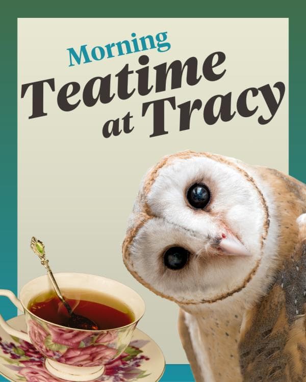 Mother's Day Teatime at Tracy