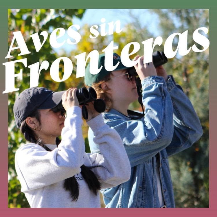 Image for event: Aves sin Fronteras