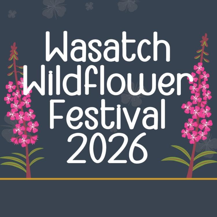 Image for event: Wasatch Wildflower Festival 2026- Alta