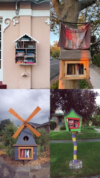Image for event: The Little Libraries of Salt Lake City By Rachel Kho
