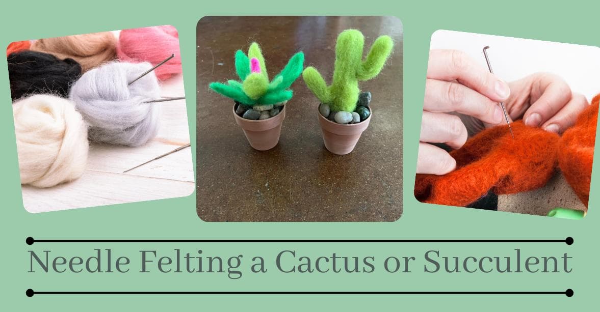 Image for event: Felted Succulents, Plants or Cactus Class