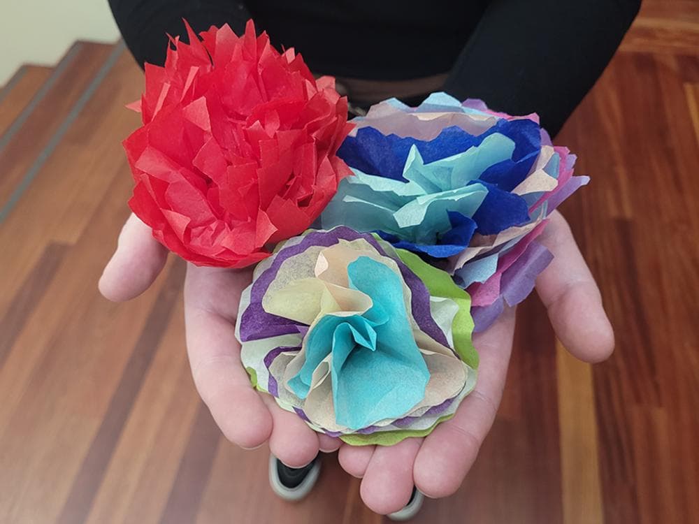 Image for event: UMFA in the Wild: Paper Flowers Wasatch Mountain State Park