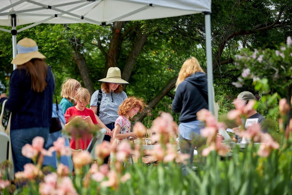 Image for event: The Backyard Festival at Conservation Garden Park