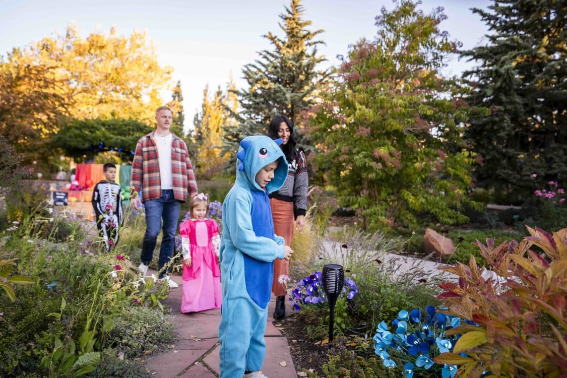 Image for event: 2026 Garden After Dark: Adventures in Neverland