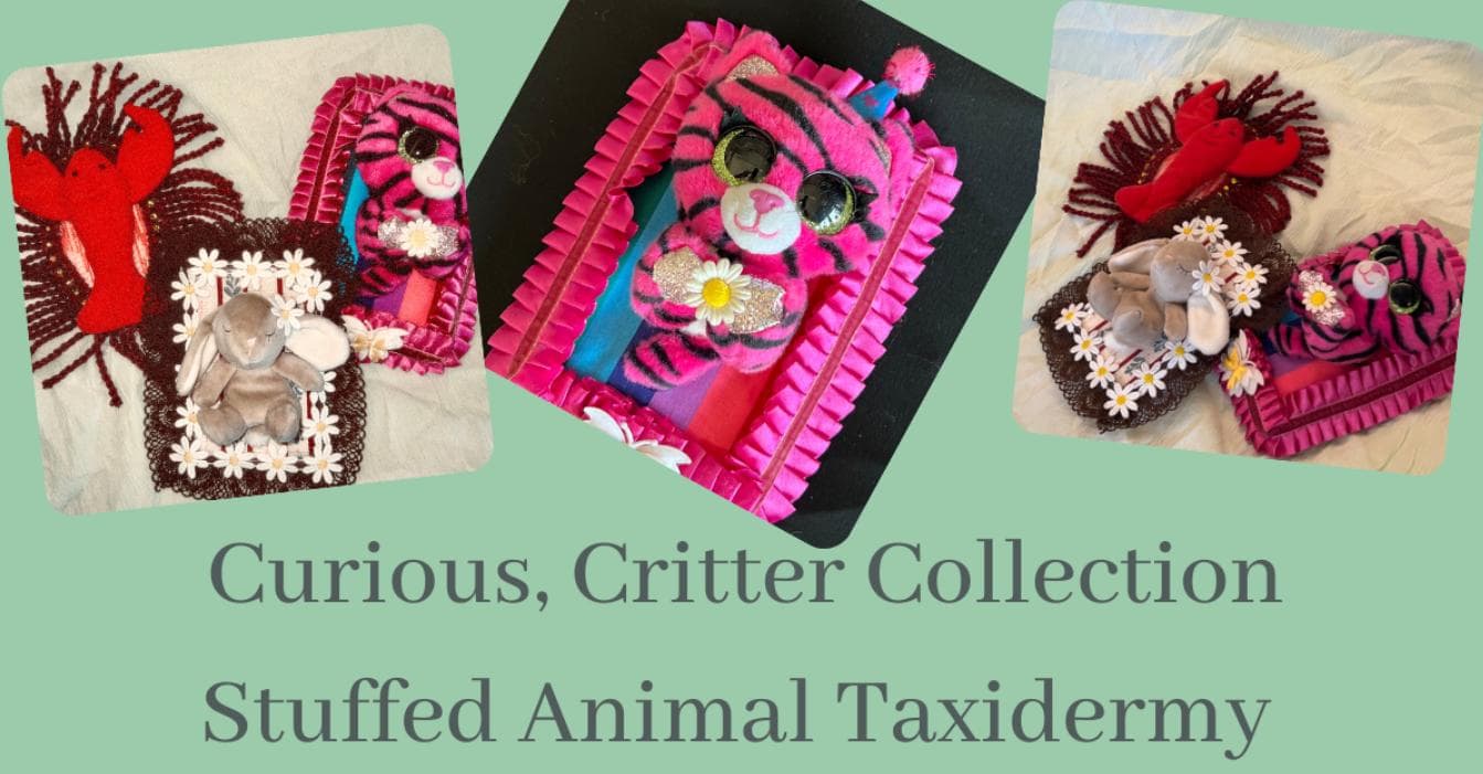 Image for event: Creative Critter Collection & Stuffed Animal Taxidermy