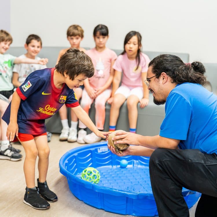 Image for event: Fall Break Camps