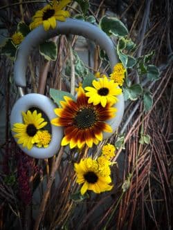 Image for event: Sounds of a Life Well-Loved, by Kat Nix and Connor Estes