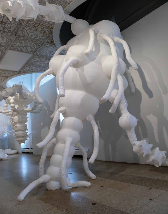 Image for event: Nicole Banowetz: The Intervening Substance