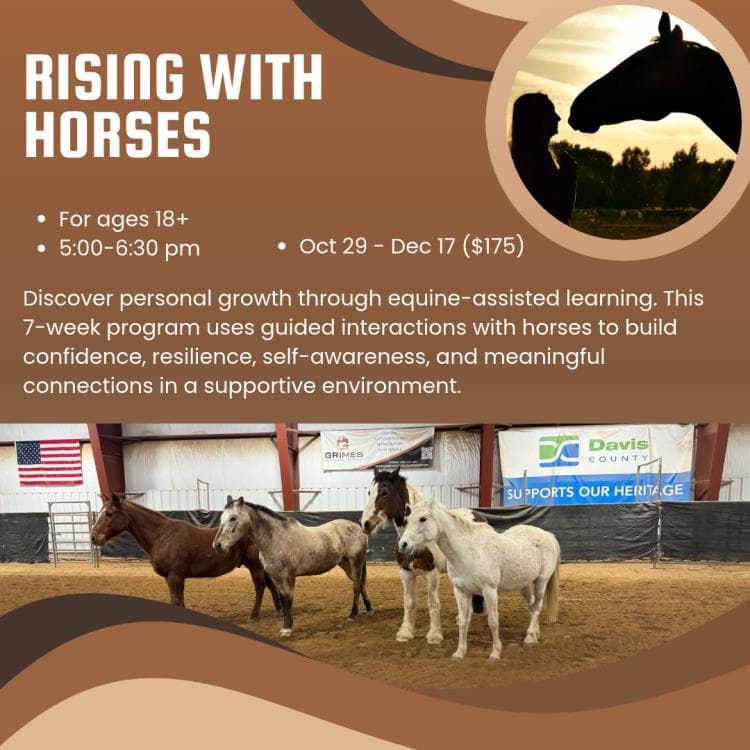 Rise With Horses