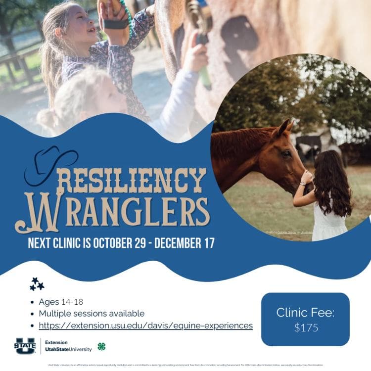 Image for event: Resiliency Wranglers