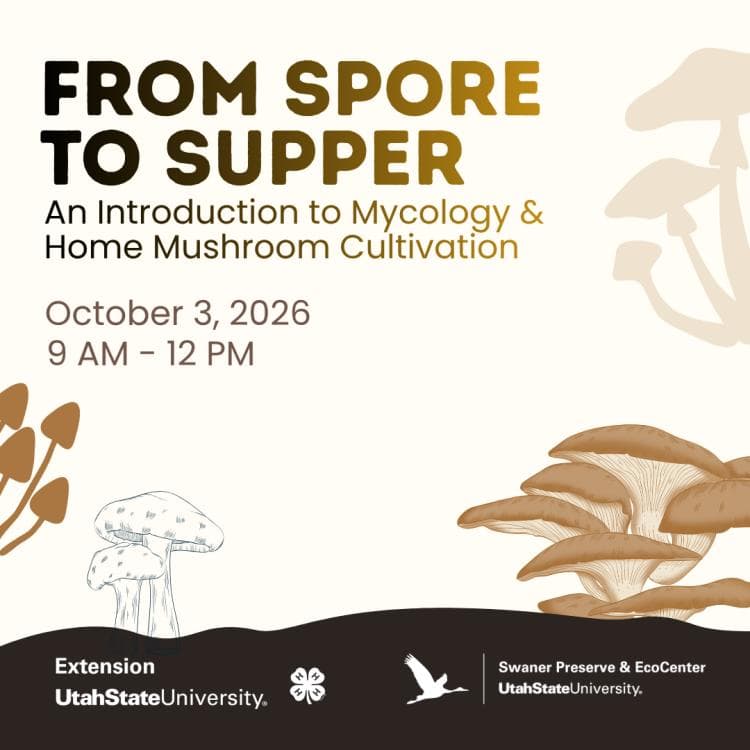 Image for event: From Spore to Supper: Mushroom Class