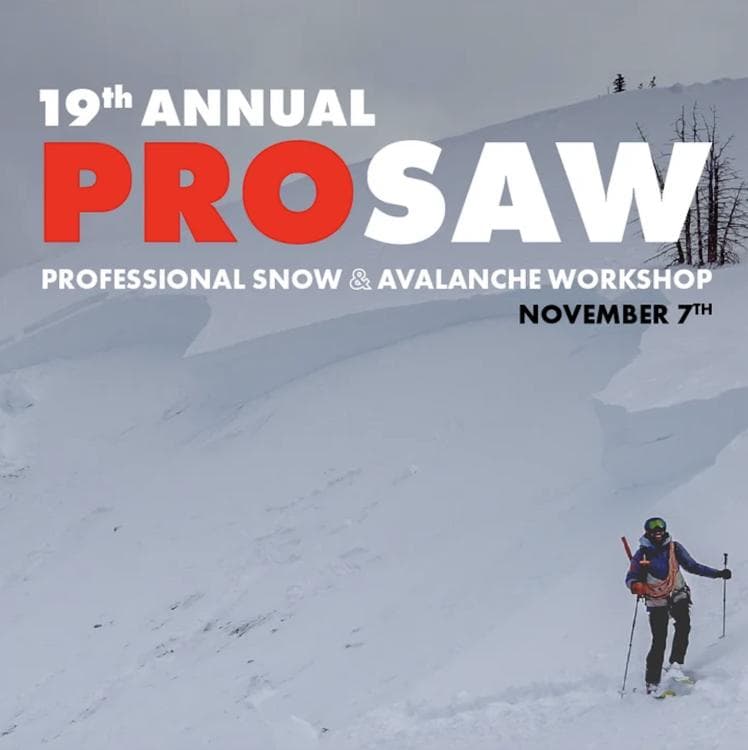 Image for event: 19th Annual Professional Snow and Avalanche Workshop (PROSAW)
