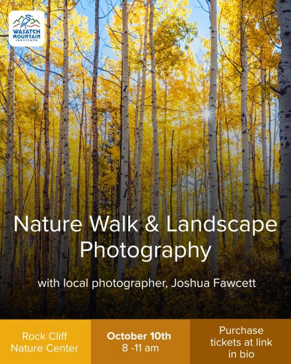 Image for event: Nature Walk & Landscape Photography Workshop