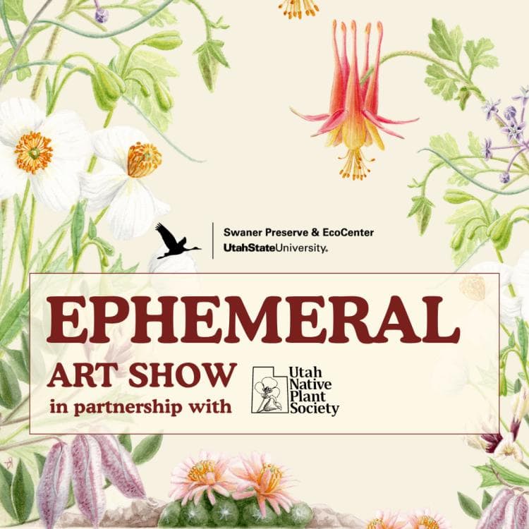 Image for event: Ephemeral: Art Show featuring Utah's Native Plants
