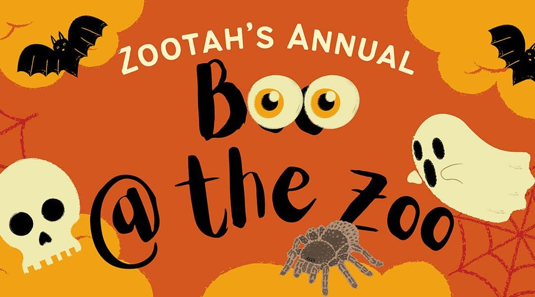 Image for event: Boo at the Zoo 2026