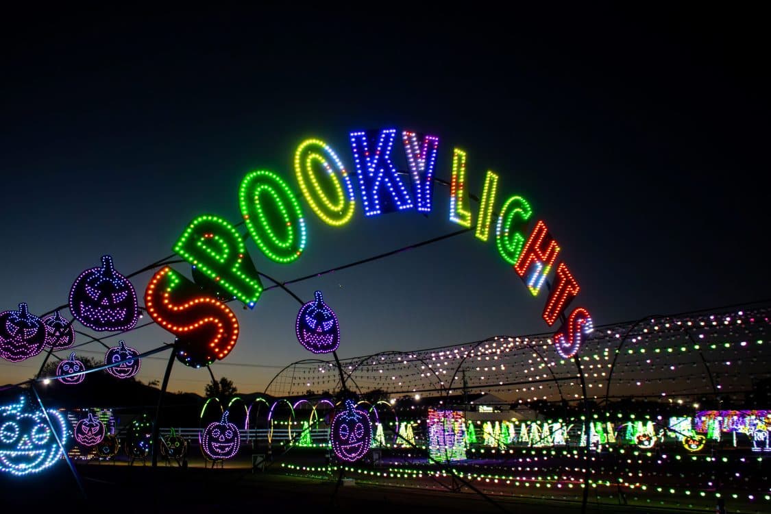 Image for event: Spooky Light Show 2026