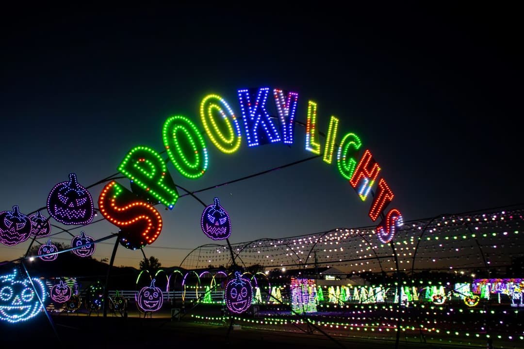 Spooky Light Show 2026