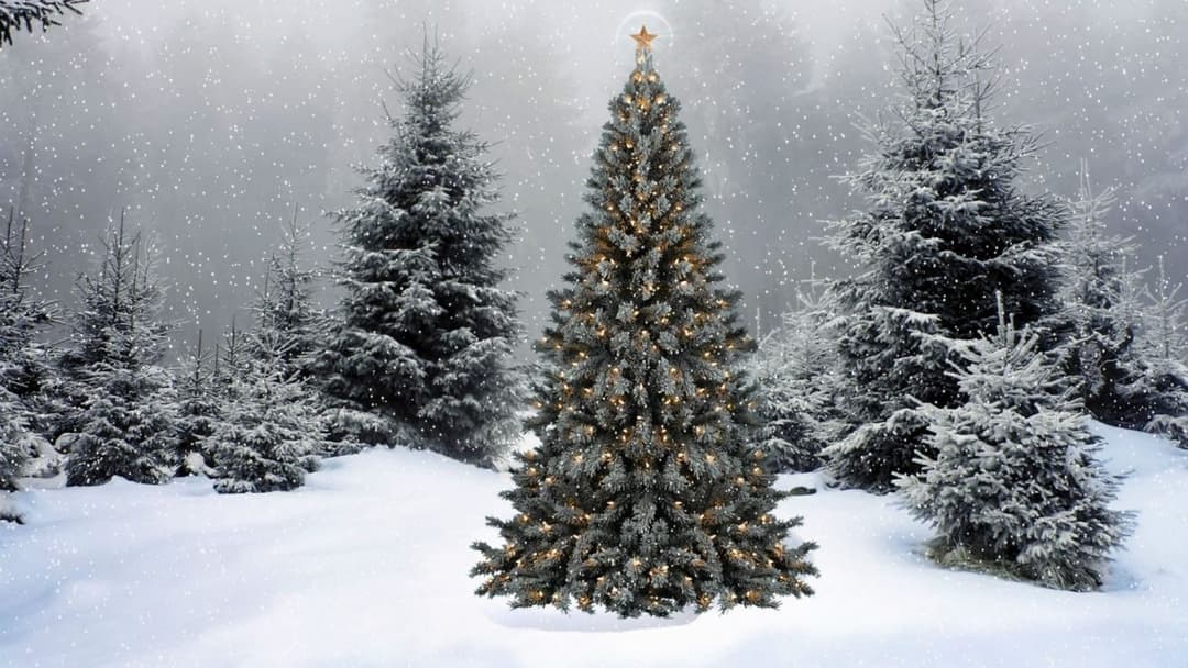 2026 Saratoga Springs City Christmas Tree Lighting