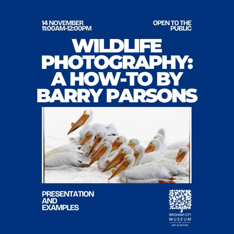 Image for event: Wildlife Photography: A How-To by Barry Parsons