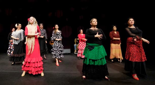 Intermediate Flamenco Dance