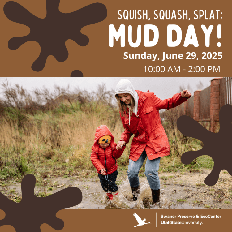 Squish, Squash, Splat: Mud Day!