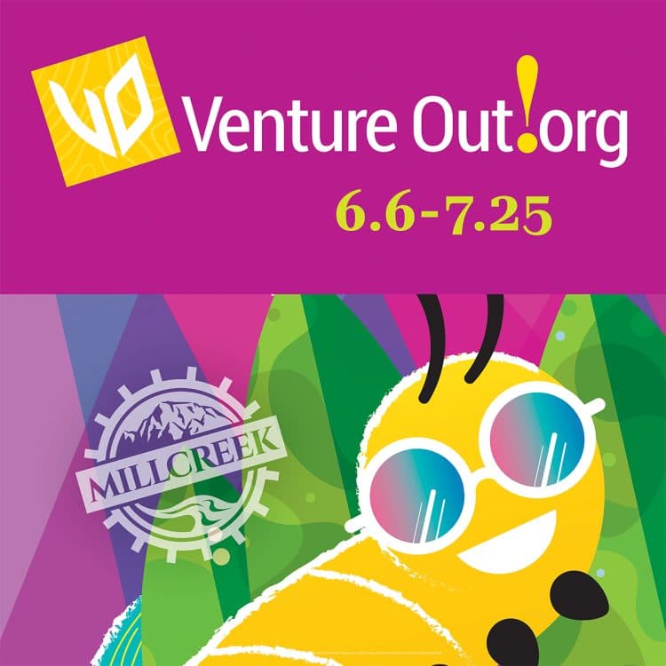 Venture Out Movie and Twilight Market // The Boy and the Heron