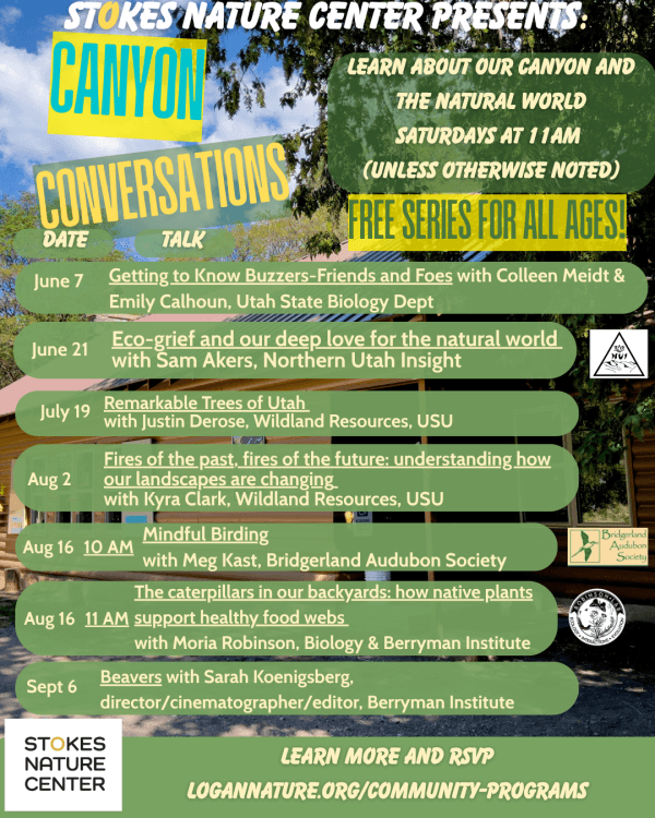 Canyon Conversations-The Caterpillars in our Backyards