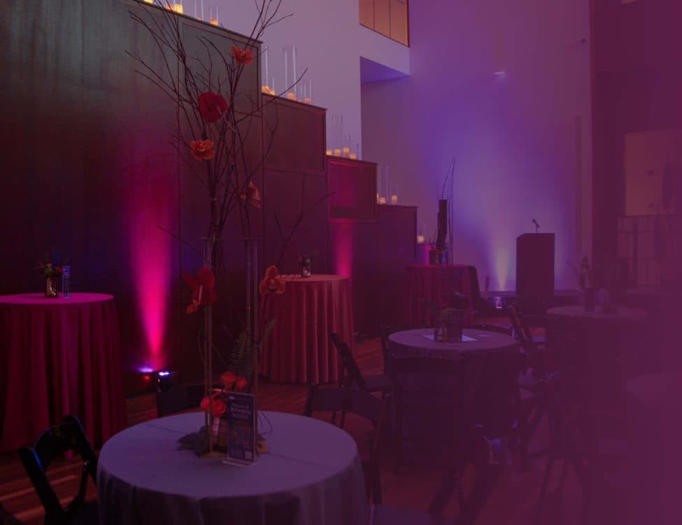 Opening Celebration for "salt 17: Adama Delphine Fawundu" and "Relative Truths"