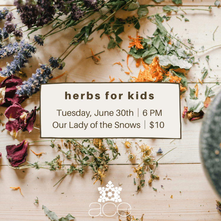 Herbs for Kids