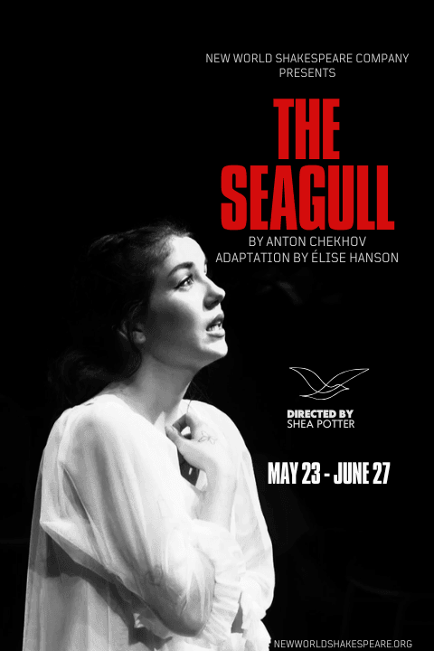 Image for event: The Seagull